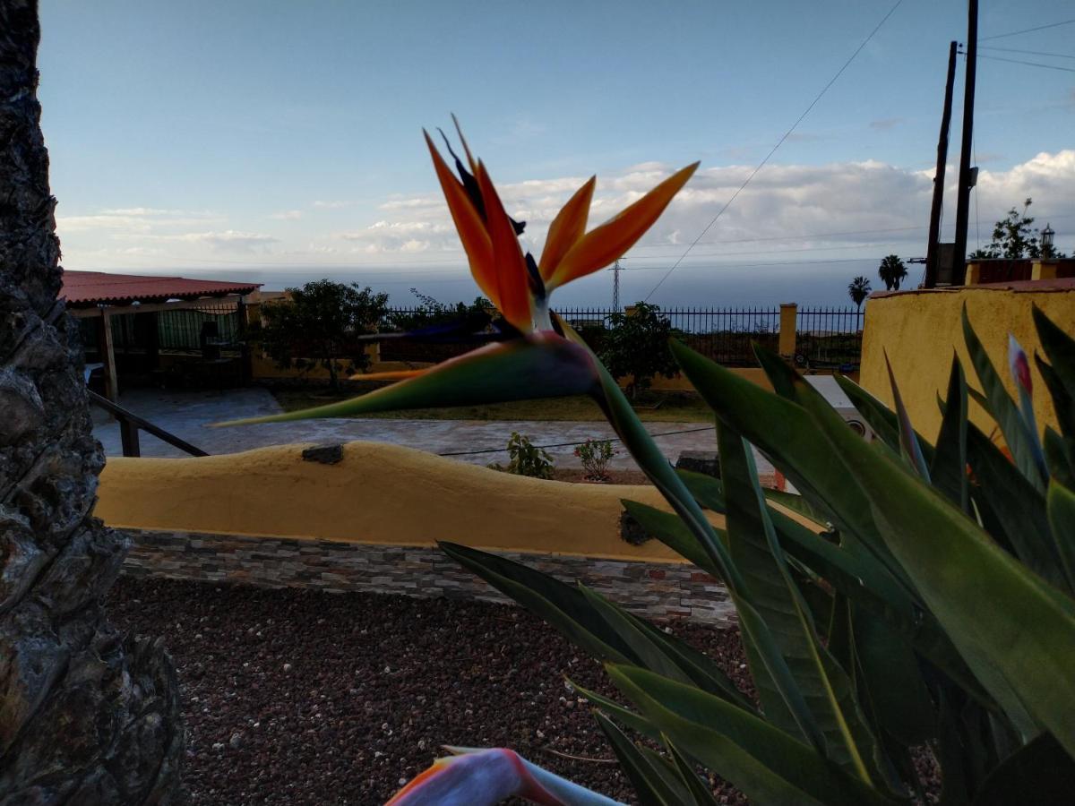 Apartamento La Costa Santa Cruz de Tenerife Ngoại thất bức ảnh